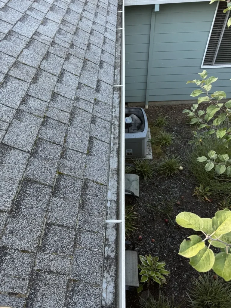 after gutter cleaning photo