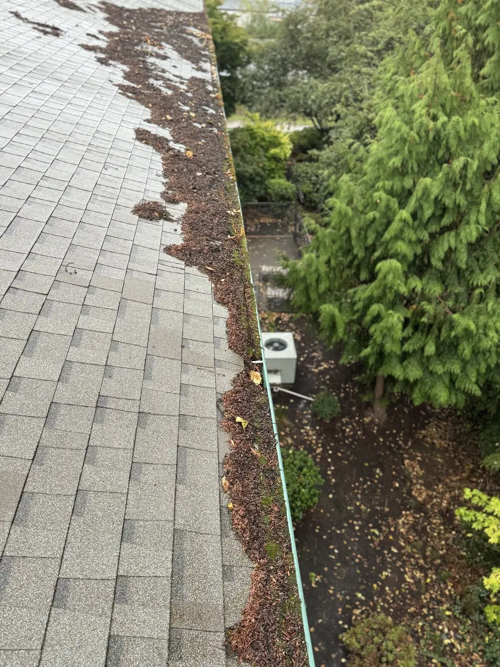 gutters filled with leaves