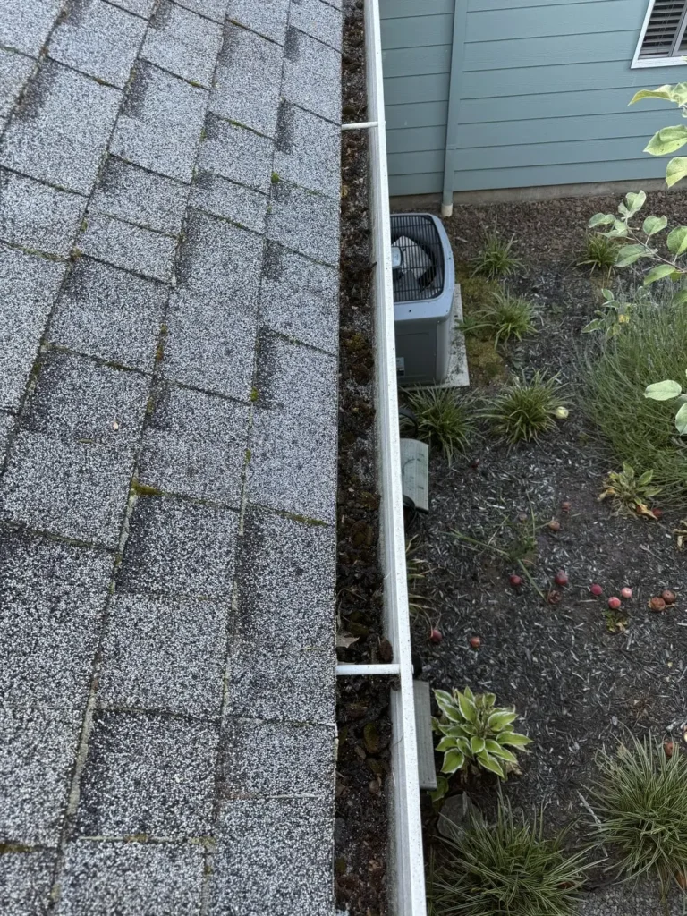 before photo for gutter cleaning service