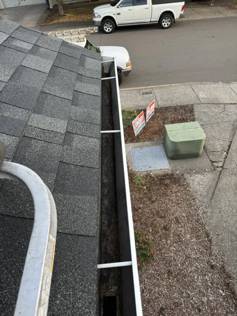 gutter cleaning new milford