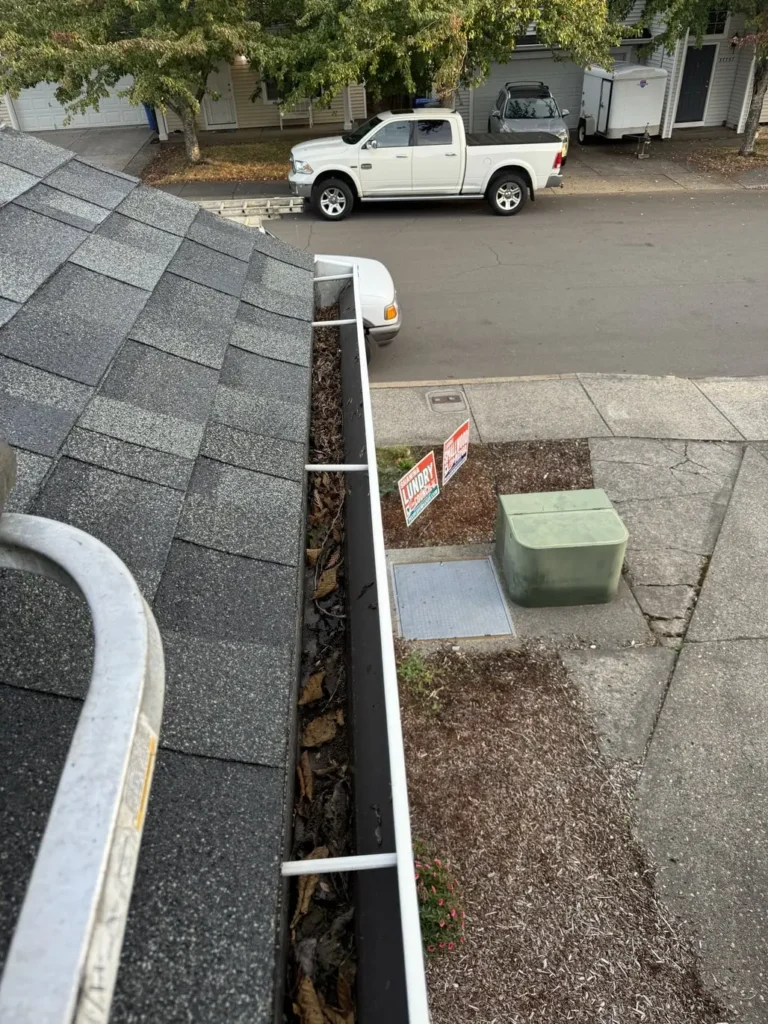 before photo of gutter cleaning service