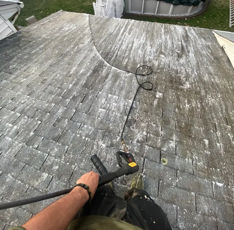 roof cleaning